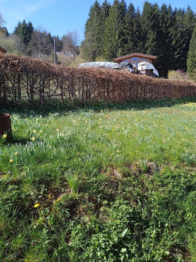 Chalet Du Poli Villa Xonrupt-Longemer Exteriör bild